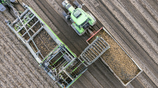 Износът на картофи от Грузия през първата половина на 2025