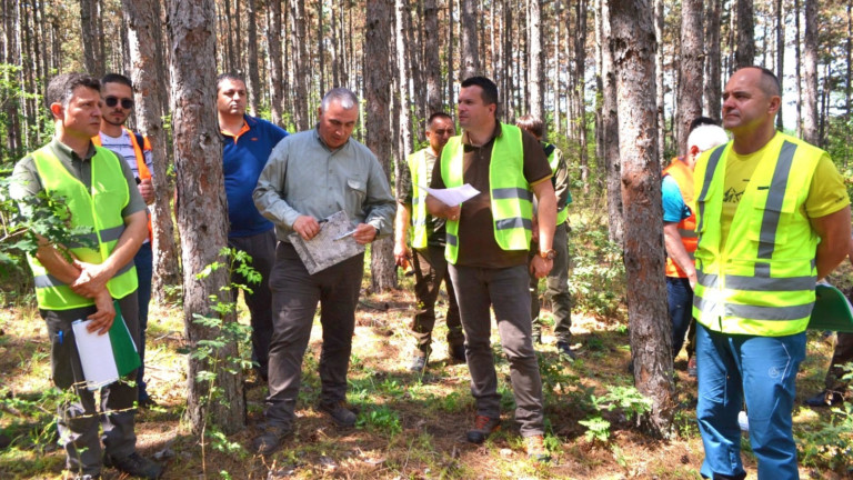 Изображение 668433