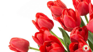 Ръководството на ЦСКА поздрави всички празнуващи имен ден на Цветница