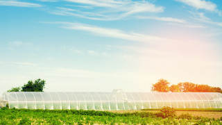 Строителството на зеленчукова оранжерия в България - сложно като изграждането на хотел