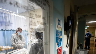 Първият реципиент на трансплантиран генетично модифициран свински бъбрек е починал