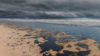 Над 170 нефтени петна в Черно море: задава ли се екологична криза