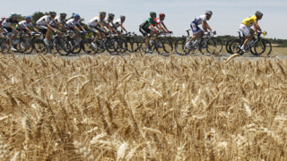 Белгиец спечели 14-ия етап на Тур дьо Франс