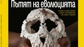 Каменният бряг на България