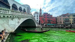 Ето защо каналът във Венеция се оцвети в зелено