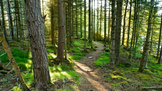 Борбата с корупцията е основен приоритет Така е записано и