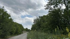 Пореден ден без следа от черния леопард в Шуменско