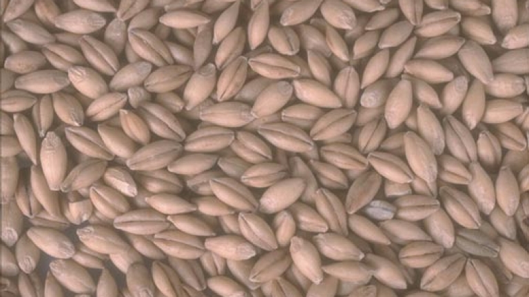 Изображение 11734