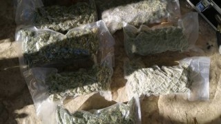 Десетки арести при координирана от Европол полицейска операция в 6