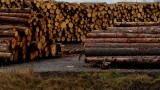 Депутатите решиха как и от къде ще се купуват дърва за огрев