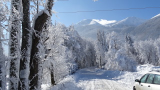 Временно е ограничено движението за камиони през прохода "Предела"