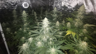 Имот в местност Манастирски рид е претърсен в рамките на