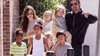 Анджелина Джоли и Брад Пит се разбраха за децата  