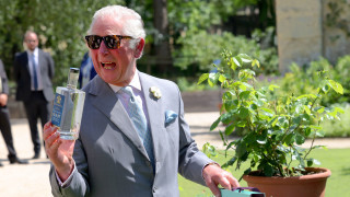 След като не успя да бъде работещ член на кралското