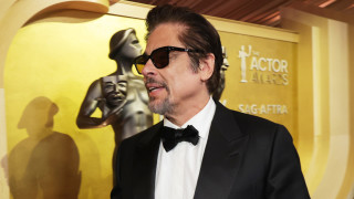 Семейна вечер за Бенисио дел Торо на наградите Actor Awards