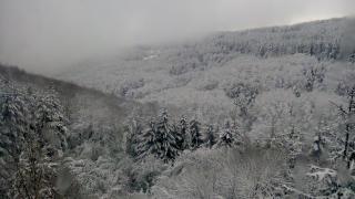 Спасители откриха турист който е изчезнал на Витоша преди повече