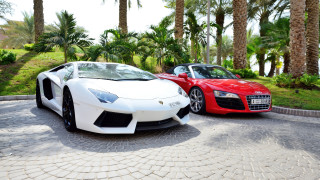 Още 2 124 души са се присъединили към групата на