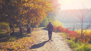 Защо джипитата в Канада предписват разходка на пациентите