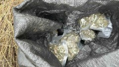 Бургаската полиция "арестува" 9 кг марихуана, по 111 лв. за грам
