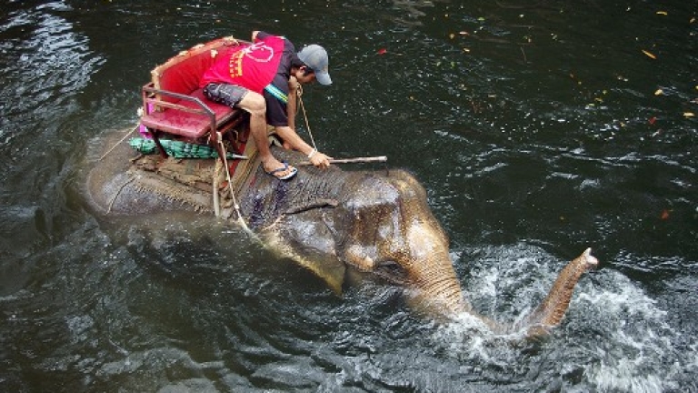 Изображение 55534