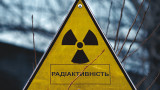  Чернобил, Cryptococcus neoformans, гъбите, които гълтам радиация, и по какъв начин могат те да са потребни за астронавтите 