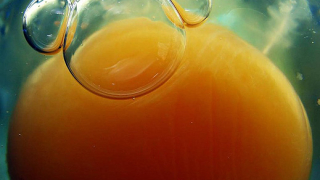 Не яжте повече от 6 яйца на седмица