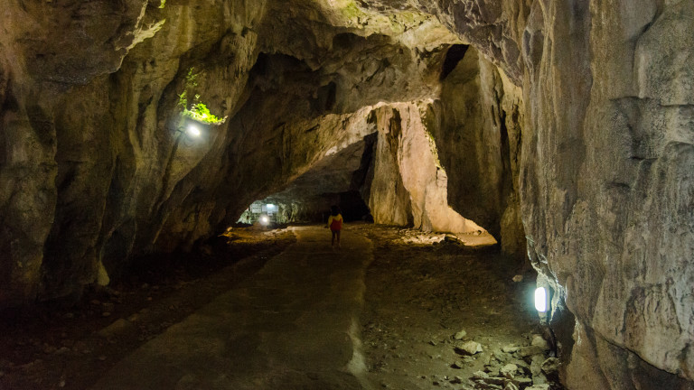 Изображение 526134