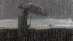 Дъжд в неделя