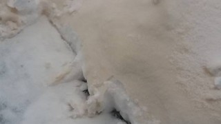 В Североизточна България заваля оранжев сняг Необичайното явление е наблюдавано