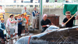  Япония възобновява комерсиалния улов на китове 