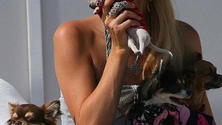 PETA срещу Парис Хилтън