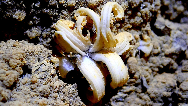 Изображение 407634