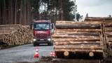  Германски съд даде зелена светлина на „ Тесла” да изсече гора за завода си до Берлин 