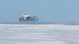  Съединени американски щати се заричат да не позволен владичество на Китай и Русия в Арктика 