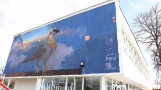 Мащабен графит на символа на българската природозащита брадатия лешояд вече