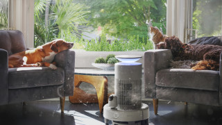 CES най голямото изложение за потребителска електроника в света е отново