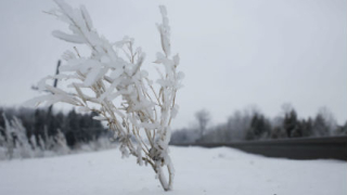 Броят на загиналите от лошото време в САЩ и Канада достигна 27