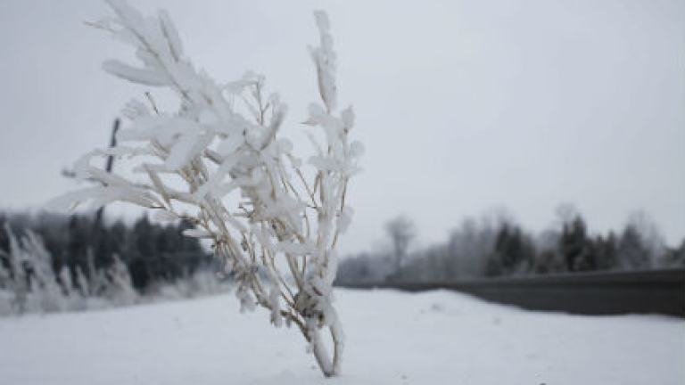 Изображение 158534