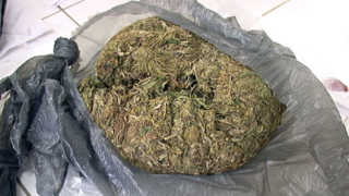 Задържаха наркопласьор с 1.5 кг марихуана 