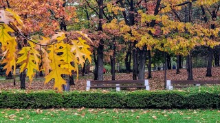 Днес ще бъде слънчево Това съобщават от НИМХ Ще духа слаб