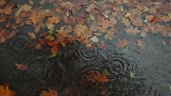 Облачно с валежи