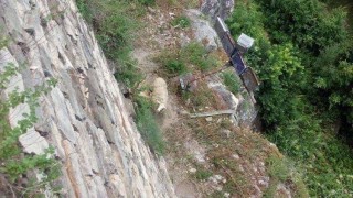 Стадо овце падна от историческата крепост Царевец във Велико Търново
