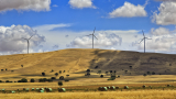 Елън Мъск предлага да спаси австралийски щат от енергийна криза
