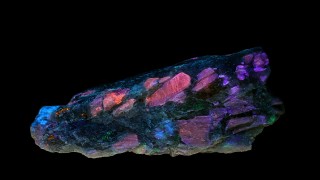 Литият се превръща в петрола на 21 век Конкуренцията за