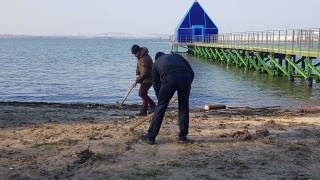 Скубят тревата пред летния сарай на Ахмед Доган в парк "Росенец"