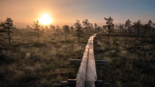 И във Финландия започва да се обсъжда въпросът с изграждане