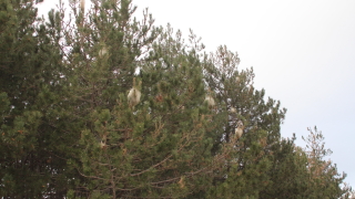 Министерският съвет на Република България обяви че е одобрил проект