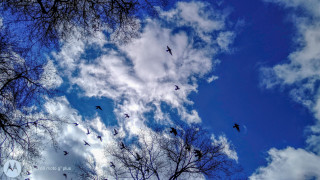 Облачно и ветровито, дъжд в Източна България