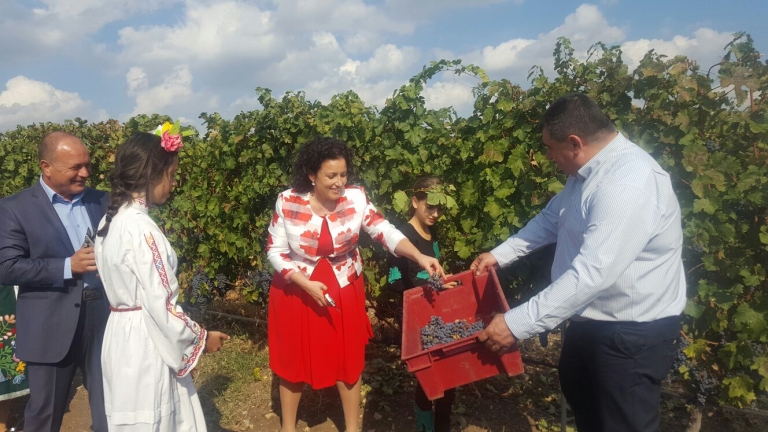 Изображение 255035