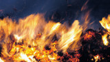 Голям горски пожар гори в Измир